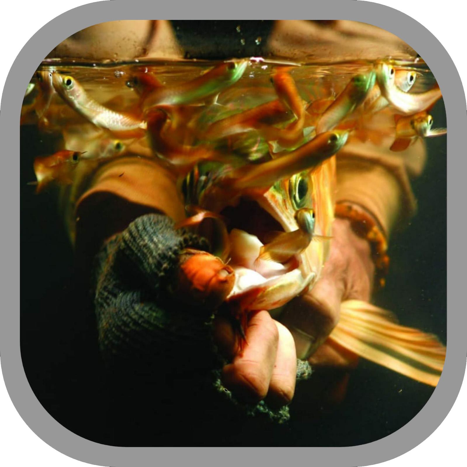 LLI-KLLI-K04-F5-6868012714-221020-0049