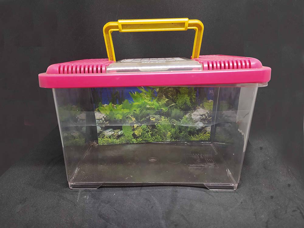 Kandang Jangkrik FH-03